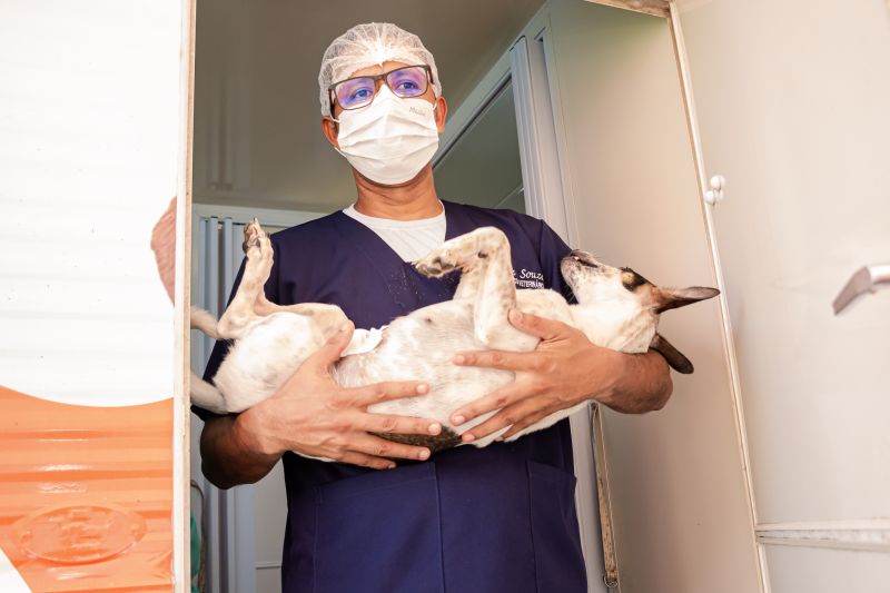  <div class='credito_fotos'>Foto: Karla Reis &nbsp;&nbsp;|&nbsp;&nbsp; <a href='/midias/2024/originais/7935_16d86076-c1f2-010b-3595-58df3dbc8b0f.jpg' download><i class='fa-solid fa-download'></i> Download</a></div>