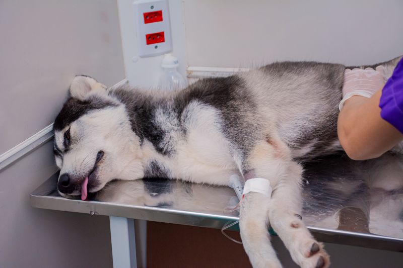  <div class='credito_fotos'>Foto: Karla Reis &nbsp;&nbsp;|&nbsp;&nbsp; <a href='/midias/2024/originais/7935_b64d4323-87f0-fc4f-8054-6de4157d446b.jpg' download><i class='fa-solid fa-download'></i> Download</a></div>