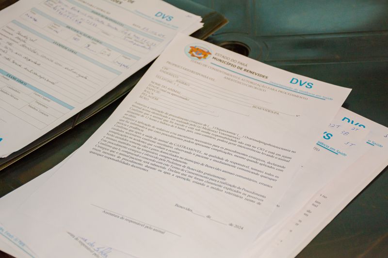  <div class='credito_fotos'>Foto: Karla Reis &nbsp;&nbsp;|&nbsp;&nbsp; <a href='/midias/2024/originais/7937_58c4e23d-7329-509a-d814-41fe6aea6651.jpg' download><i class='fa-solid fa-download'></i> Download</a></div>