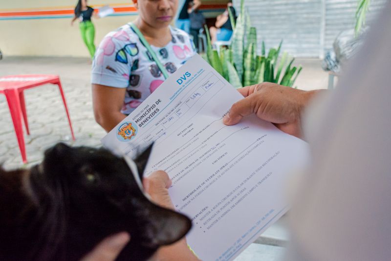  <div class='credito_fotos'>Foto: Karla Reis &nbsp;&nbsp;|&nbsp;&nbsp; <a href='/midias/2024/originais/7937_631bd59c-d542-b745-5226-c4f4fd28179d.jpg' download><i class='fa-solid fa-download'></i> Download</a></div>