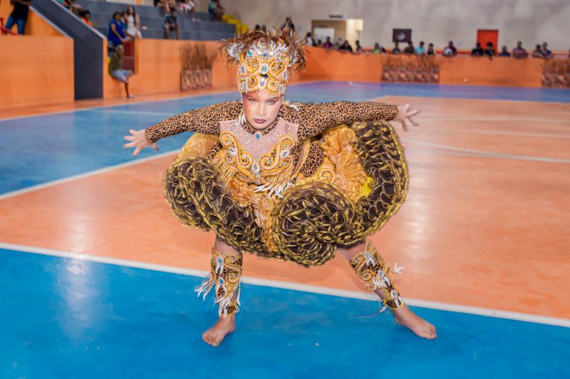  <div class='credito_fotos'>Foto: Karla Reis &nbsp;&nbsp;|&nbsp;&nbsp; <a href='/midias/2024/originais/7960_22395820-25e0-809f-3e94-46e25781d0fa.jpg' download><i class='fa-solid fa-download'></i> Download</a></div>