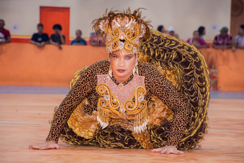  <div class='credito_fotos'>Foto: Karla Reis &nbsp;&nbsp;|&nbsp;&nbsp; <a href='/midias/2024/originais/7960_5470d965-8c63-6342-66ba-209c541eea5a.jpg' download><i class='fa-solid fa-download'></i> Download</a></div>