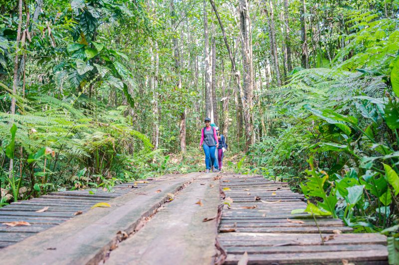  <div class='credito_fotos'>Foto: Karla Reis &nbsp;&nbsp;|&nbsp;&nbsp; <a href='/midias/2024/originais/7987_1b1d747c-32d8-d871-b325-6623682f451f.jpg' download><i class='fa-solid fa-download'></i> Download</a></div>