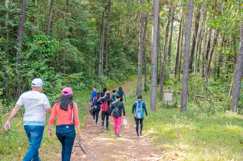  <div class='credito_fotos'>Foto: Karla Reis &nbsp;&nbsp;|&nbsp;&nbsp; <a href='/midias/2024/originais/7988_22dfcc65-4259-ee8b-7478-b31283915893.jpg' download><i class='fa-solid fa-download'></i> Download</a></div>