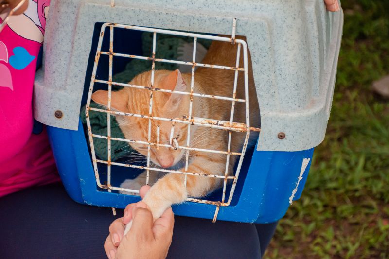  <div class='credito_fotos'>Foto: Karla Reis &nbsp;&nbsp;|&nbsp;&nbsp; <a href='/midias/2024/originais/8021_6a57f384-d3b5-2de2-089a-472fabc6e092.jpg' download><i class='fa-solid fa-download'></i> Download</a></div>