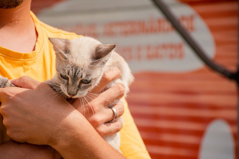  <div class='credito_fotos'>Foto: Karla Reis &nbsp;&nbsp;|&nbsp;&nbsp; <a href='/midias/2024/originais/8021_a07fc665-cdc7-19ea-07ce-2b70a392b3b0.jpg' download><i class='fa-solid fa-download'></i> Download</a></div>