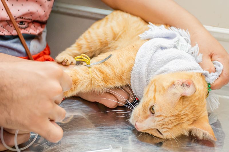  <div class='credito_fotos'>Foto: Karla Reis &nbsp;&nbsp;|&nbsp;&nbsp; <a href='/midias/2024/originais/8021_df61aceb-1c18-3734-3c19-16df543efa42.jpg' download><i class='fa-solid fa-download'></i> Download</a></div>