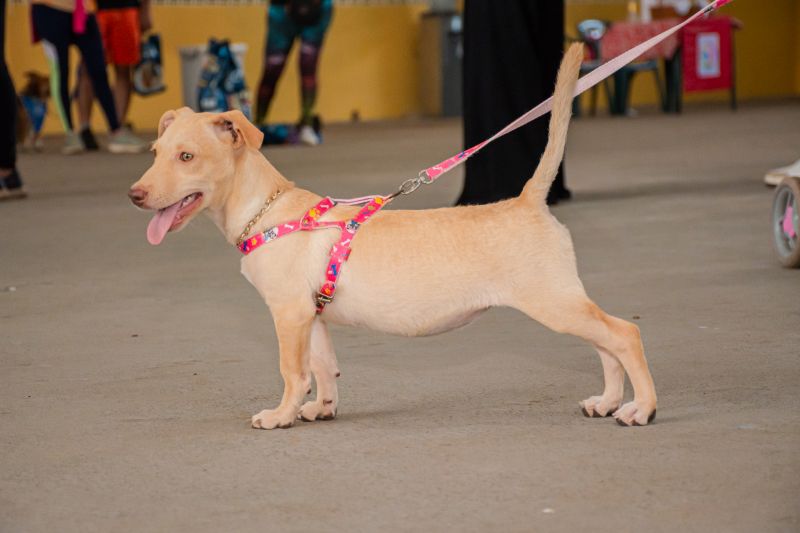  <div class='credito_fotos'>Foto: Karla Reis &nbsp;&nbsp;|&nbsp;&nbsp; <a href='/midias/2024/originais/8022_1b625835-d984-1525-8f41-60661ff6206f.jpg' download><i class='fa-solid fa-download'></i> Download</a></div>