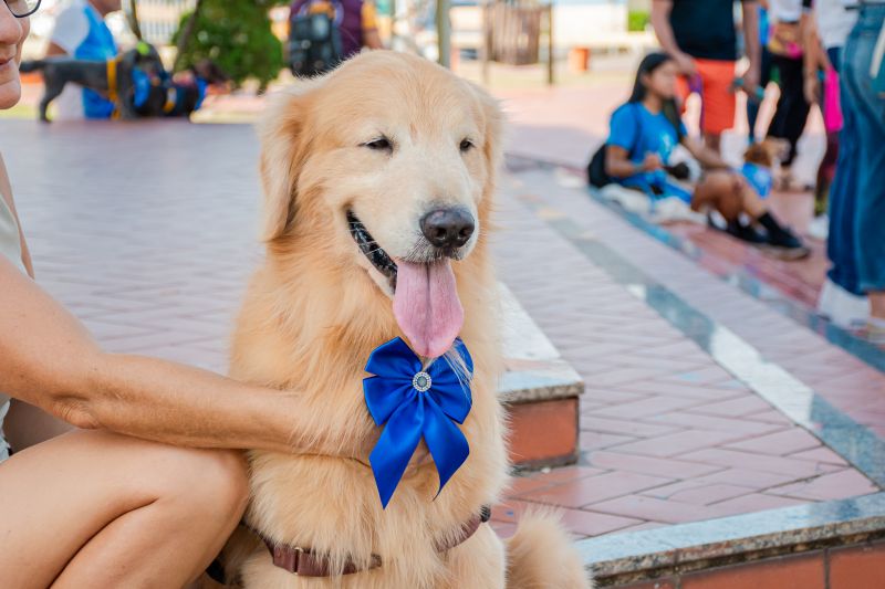  <div class='credito_fotos'>Foto: Karla Reis &nbsp;&nbsp;|&nbsp;&nbsp; <a href='/midias/2024/originais/8022_416159a5-d304-3cde-c7b1-a52d1253bbaa.jpg' download><i class='fa-solid fa-download'></i> Download</a></div>