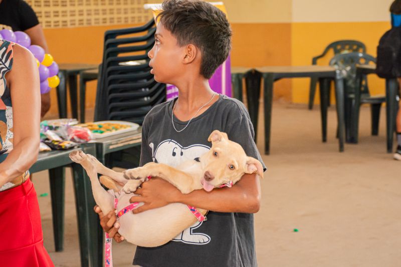  <div class='credito_fotos'>Foto: Karla Reis &nbsp;&nbsp;|&nbsp;&nbsp; <a href='/midias/2024/originais/8022_5de51b7f-a92a-fa30-050d-e426cf0bb5fb.jpg' download><i class='fa-solid fa-download'></i> Download</a></div>