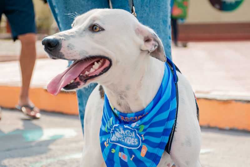  <div class='credito_fotos'>Foto: Karla Reis &nbsp;&nbsp;|&nbsp;&nbsp; <a href='/midias/2024/originais/8022_7e1f1ea0-1e08-9319-73c3-d1a7a5e3ec45.jpg' download><i class='fa-solid fa-download'></i> Download</a></div>