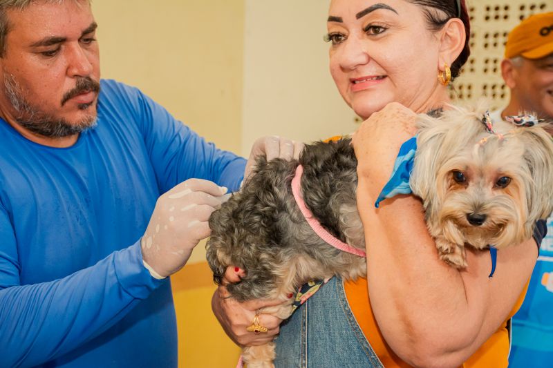  <div class='credito_fotos'>Foto: Karla Reis &nbsp;&nbsp;|&nbsp;&nbsp; <a href='/midias/2024/originais/8022_84dc77ec-689b-953a-de41-29df2b1f5532.jpg' download><i class='fa-solid fa-download'></i> Download</a></div>