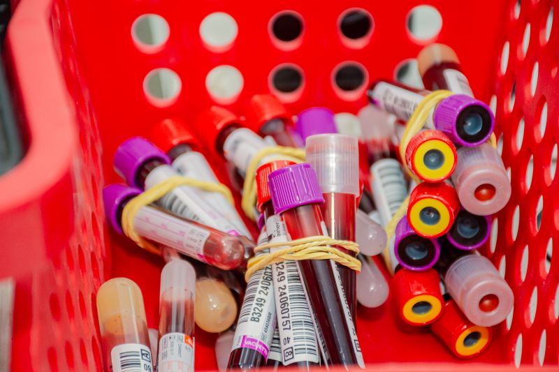  <div class='credito_fotos'>Foto: Karla Reis &nbsp;&nbsp;|&nbsp;&nbsp; <a href='/midias/2024/originais/8024_32726fff-7d2a-99fa-6cef-ec171db6f011.jpg' download><i class='fa-solid fa-download'></i> Download</a></div>