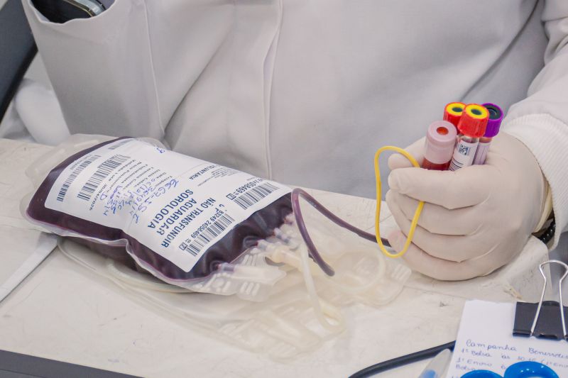  <div class='credito_fotos'>Foto: Karla Reis &nbsp;&nbsp;|&nbsp;&nbsp; <a href='/midias/2024/originais/8024_5f335d94-c480-767c-b92a-a2ff2ec5f445.jpg' download><i class='fa-solid fa-download'></i> Download</a></div>