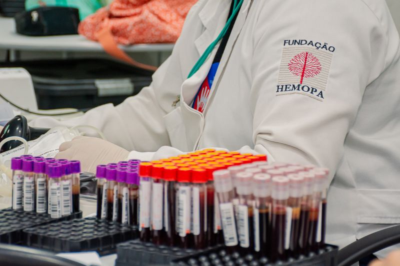  <div class='credito_fotos'>Foto: Karla Reis &nbsp;&nbsp;|&nbsp;&nbsp; <a href='/midias/2024/originais/8024_988e3926-6dbe-054b-6065-510445fc674b.jpg' download><i class='fa-solid fa-download'></i> Download</a></div>