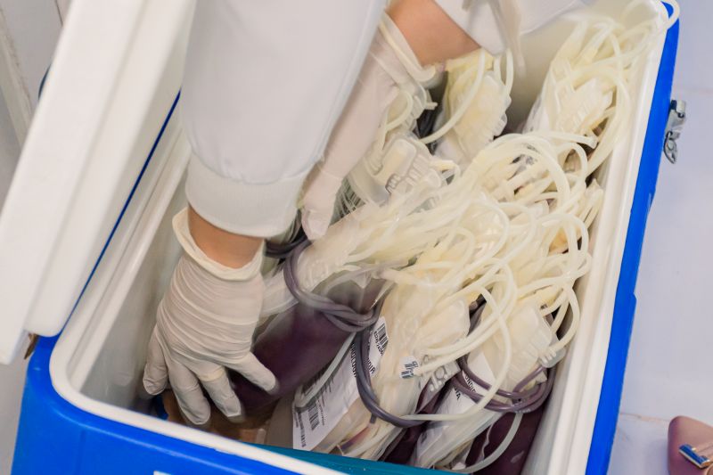  <div class='credito_fotos'>Foto: Karla Reis &nbsp;&nbsp;|&nbsp;&nbsp; <a href='/midias/2024/originais/8024_a6264627-8109-d3e0-afc9-12c739a7a17e.jpg' download><i class='fa-solid fa-download'></i> Download</a></div>