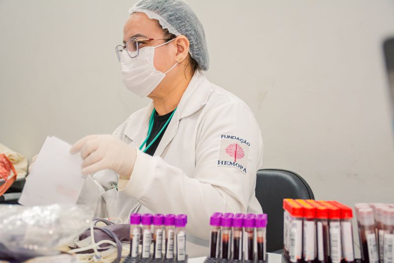  <div class='credito_fotos'>Foto: Karla Reis &nbsp;&nbsp;|&nbsp;&nbsp; <a href='/midias/2024/originais/8024_e697ec3f-fef3-cd26-2d28-a33d2495c4cb.jpg' download><i class='fa-solid fa-download'></i> Download</a></div>