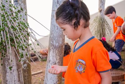 notícia: SEMED abre inscrições para novos alunos da Rede Municipal na modalidade Creche 