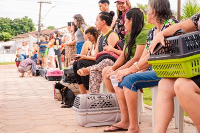 galeria: AÇÃO CASTRA MÓVEL MAGUARY - GATOS