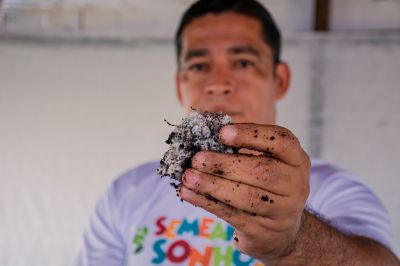 notícia: Prefeitura de Benevides investe na semeadura de boas práticas ambientais