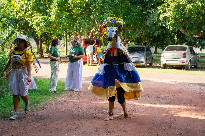  <div class='credito_fotos'>Foto: Karla Reis &nbsp;&nbsp;|&nbsp;&nbsp; <a href='/midias/2025/originais/20251104222950-GF00009204-F00106526.webp' download><i class='fa-solid fa-download'></i> Download</a></div>