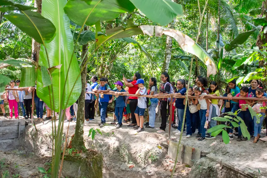  <div class='credito_fotos'>Foto: Karla Reis &nbsp;&nbsp;|&nbsp;&nbsp; <a href='/midias/2025/originais/20251104224210-GF00009205-F00106591.webp' download><i class='fa-solid fa-download'></i> Download</a></div>