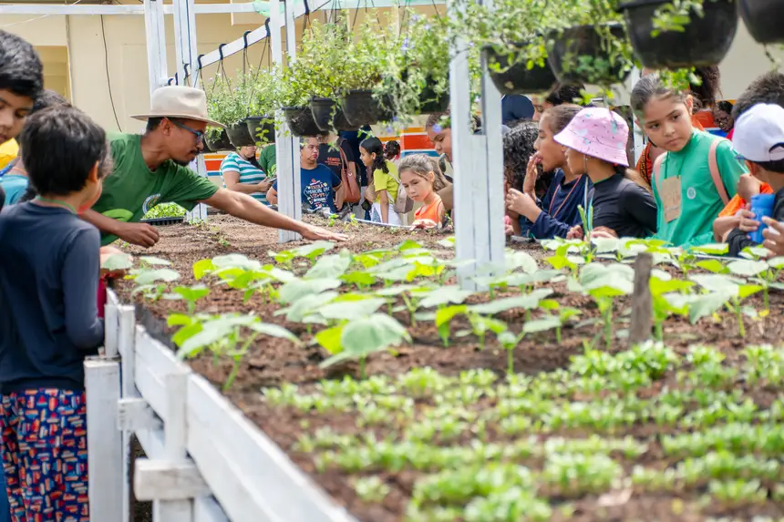  <div class='credito_fotos'>Foto: Karla Reis &nbsp;&nbsp;|&nbsp;&nbsp; <a href='/midias/2025/originais/20251104224315-GF00009205-F00106636.webp' download><i class='fa-solid fa-download'></i> Download</a></div>