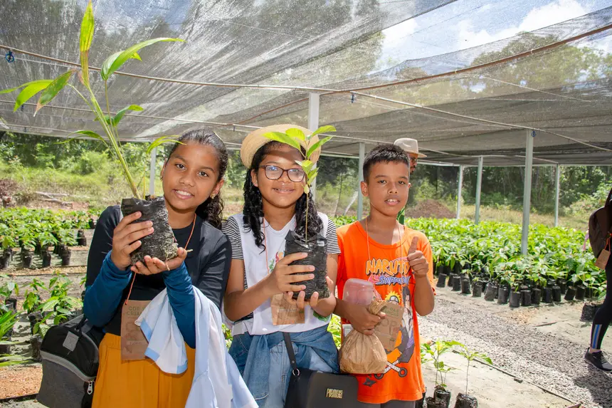  <div class='credito_fotos'>Foto: Karla Reis &nbsp;&nbsp;|&nbsp;&nbsp; <a href='/midias/2025/originais/20251104224330-GF00009205-F00106647.webp' download><i class='fa-solid fa-download'></i> Download</a></div>