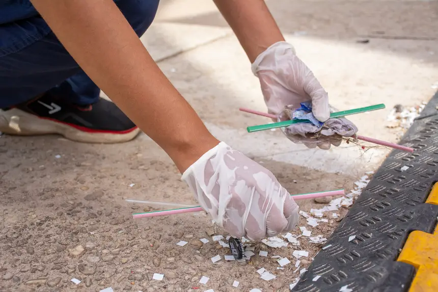  <div class='credito_fotos'>Foto: Karla Reis &nbsp;&nbsp;|&nbsp;&nbsp; <a href='/midias/2025/originais/20251114191917-GF00009209-F00106767.webp' download><i class='fa-solid fa-download'></i> Download</a></div>