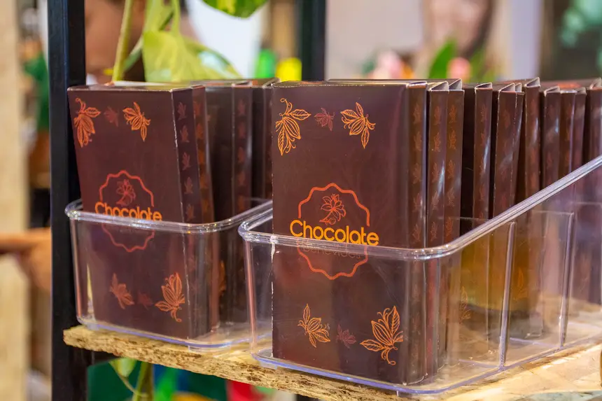  <div class='credito_fotos'>Foto: Karla Reis &nbsp;&nbsp;|&nbsp;&nbsp; <a href='/midias/2025/originais/20251119101837-GF00009215-F00107111.webp' download><i class='fa-solid fa-download'></i> Download</a></div>