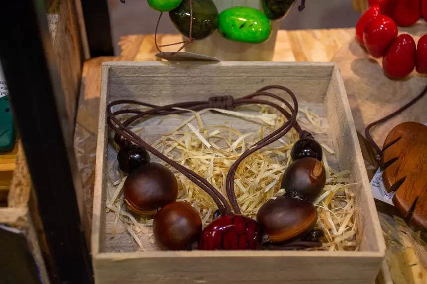  <div class='credito_fotos'>Foto: Karla Reis &nbsp;&nbsp;|&nbsp;&nbsp; <a href='/midias/2025/originais/20251119102102-GF00009215-F00107221.webp' download><i class='fa-solid fa-download'></i> Download</a></div>