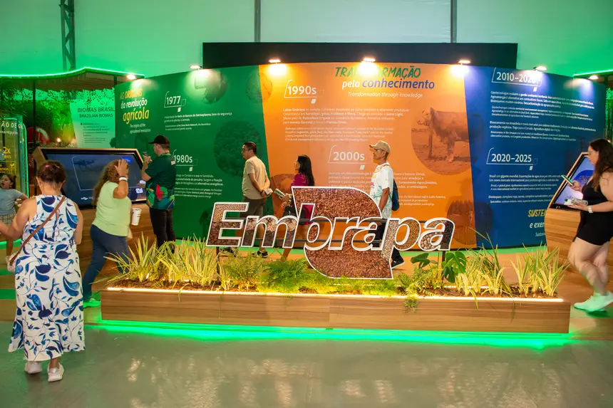  <div class='credito_fotos'>Foto: Karla Reis &nbsp;&nbsp;|&nbsp;&nbsp; <a href='/midias/2025/originais/20251121004307-GF00009216-F00107272.webp' download><i class='fa-solid fa-download'></i> Download</a></div>