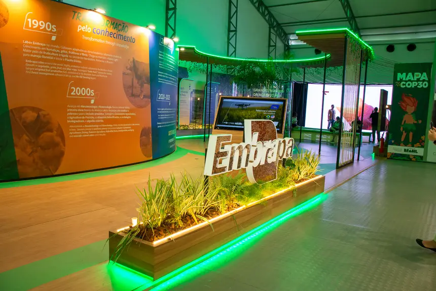  <div class='credito_fotos'>Foto: Karla Reis &nbsp;&nbsp;|&nbsp;&nbsp; <a href='/midias/2025/originais/20251121004309-GF00009216-F00107273.webp' download><i class='fa-solid fa-download'></i> Download</a></div>