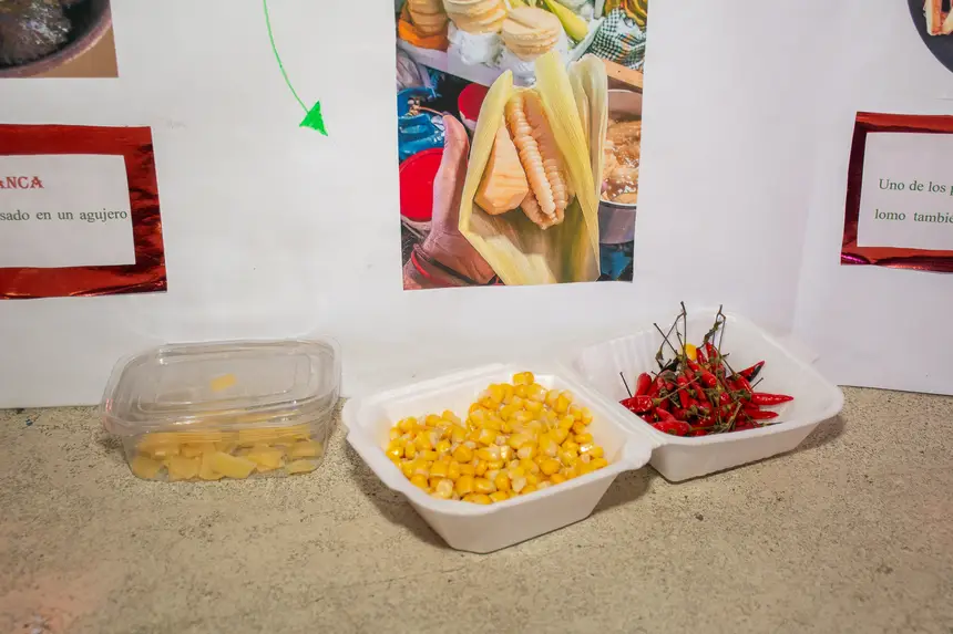  <div class='credito_fotos'>Foto: Karla Reis &nbsp;&nbsp;|&nbsp;&nbsp; <a href='/midias/2025/originais/20251128094915-GF00009220-F00107462.webp' download><i class='fa-solid fa-download'></i> Download</a></div>