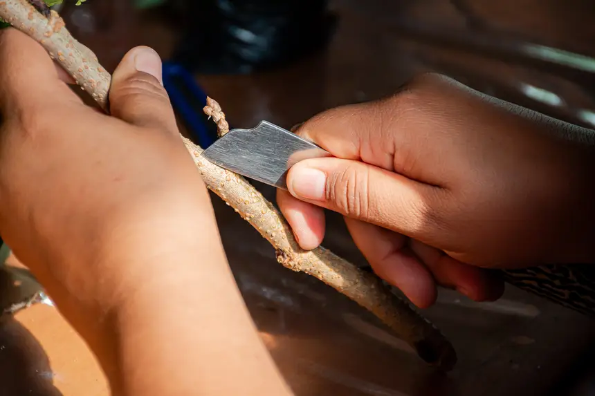  <div class='credito_fotos'>Foto:  &nbsp;&nbsp;|&nbsp;&nbsp; <a href='/midias/2025/originais/20251205144106-GF00009230-F00107722.webp' download><i class='fa-solid fa-download'></i> Download</a></div>