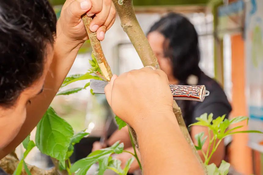  <div class='credito_fotos'>Foto:  &nbsp;&nbsp;|&nbsp;&nbsp; <a href='/midias/2025/originais/20251205144117-GF00009230-F00107730.webp' download><i class='fa-solid fa-download'></i> Download</a></div>