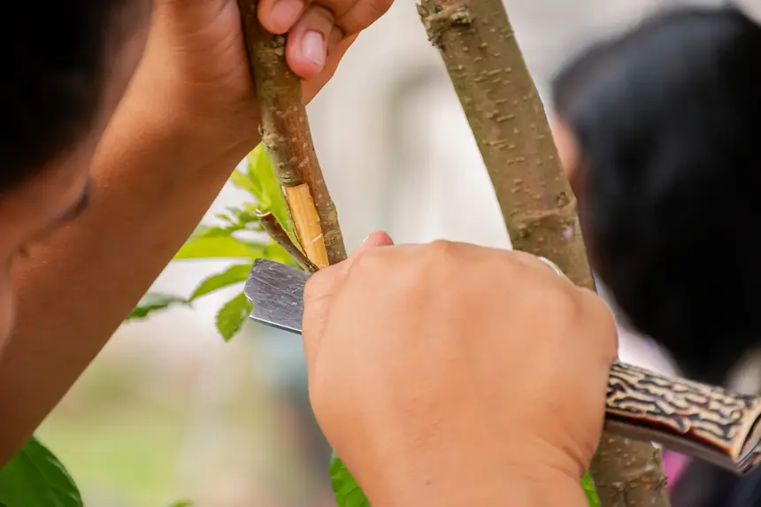  <div class='credito_fotos'>Foto:  &nbsp;&nbsp;|&nbsp;&nbsp; <a href='/midias/2025/originais/20251205144118-GF00009230-F00107731.webp' download><i class='fa-solid fa-download'></i> Download</a></div>