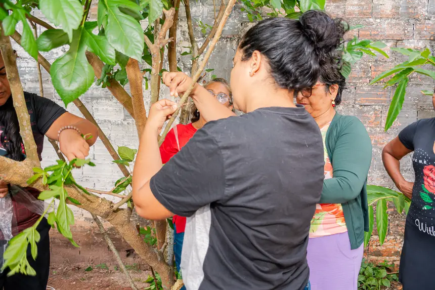  <div class='credito_fotos'>Foto:  &nbsp;&nbsp;|&nbsp;&nbsp; <a href='/midias/2025/originais/20251205144120-GF00009230-F00107733.webp' download><i class='fa-solid fa-download'></i> Download</a></div>