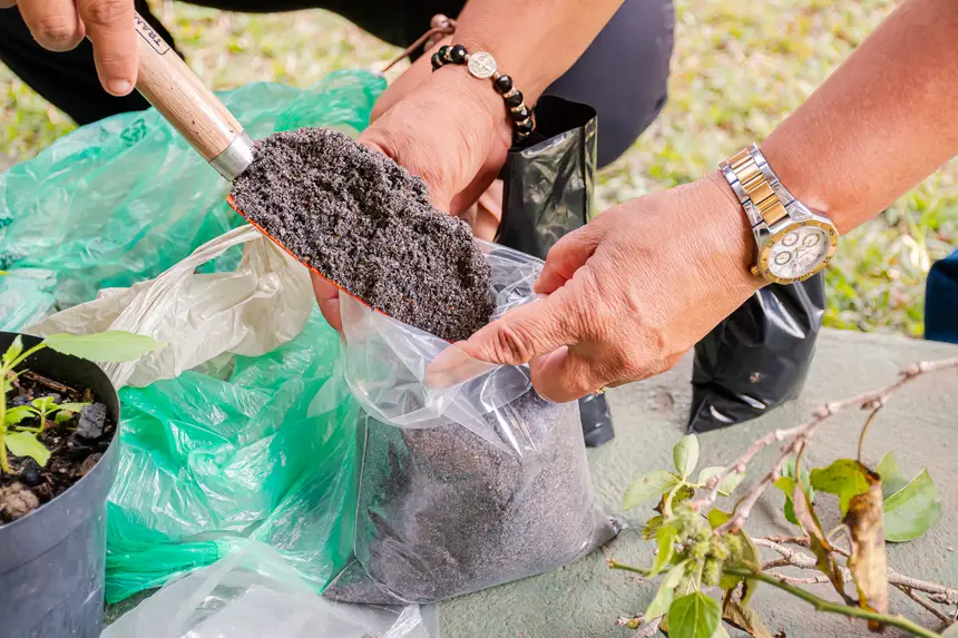  <div class='credito_fotos'>Foto:  &nbsp;&nbsp;|&nbsp;&nbsp; <a href='/midias/2025/originais/20251205144127-GF00009230-F00107738.webp' download><i class='fa-solid fa-download'></i> Download</a></div>