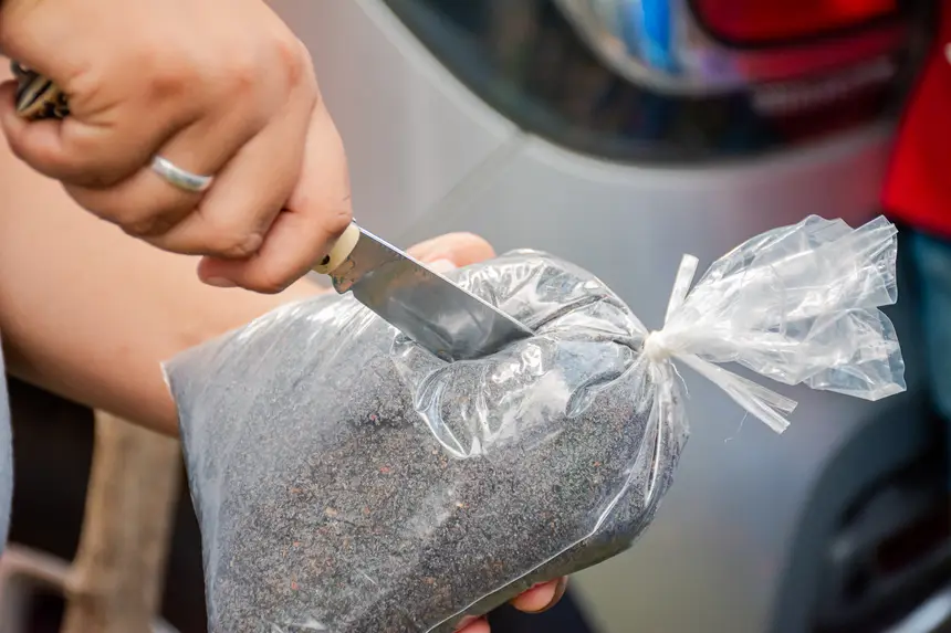  <div class='credito_fotos'>Foto:  &nbsp;&nbsp;|&nbsp;&nbsp; <a href='/midias/2025/originais/20251205144143-GF00009230-F00107750.webp' download><i class='fa-solid fa-download'></i> Download</a></div>