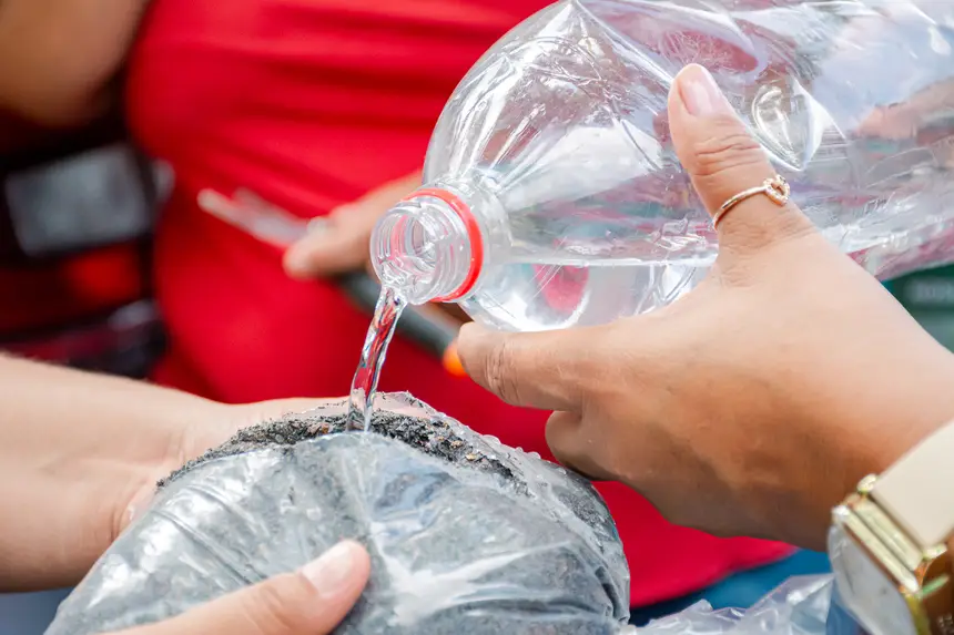  <div class='credito_fotos'>Foto:  &nbsp;&nbsp;|&nbsp;&nbsp; <a href='/midias/2025/originais/20251205144146-GF00009230-F00107752.webp' download><i class='fa-solid fa-download'></i> Download</a></div>