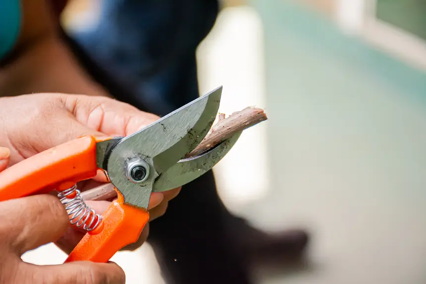  <div class='credito_fotos'>Foto:  &nbsp;&nbsp;|&nbsp;&nbsp; <a href='/midias/2025/originais/20251205144201-GF00009230-F00107764.webp' download><i class='fa-solid fa-download'></i> Download</a></div>