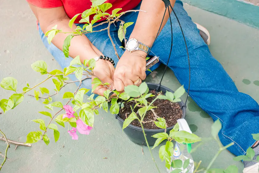  <div class='credito_fotos'>Foto:  &nbsp;&nbsp;|&nbsp;&nbsp; <a href='/midias/2025/originais/20251205144203-GF00009230-F00107765.webp' download><i class='fa-solid fa-download'></i> Download</a></div>