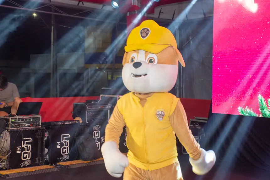  <div class='credito_fotos'>Foto: Karla Reis &nbsp;&nbsp;|&nbsp;&nbsp; <a href='/midias/2025/originais/20251219104855-GF00009243-F00108301.webp' download><i class='fa-solid fa-download'></i> Download</a></div>