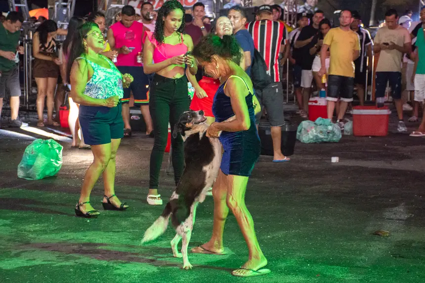  <div class='credito_fotos'>Foto: Karla Reis &nbsp;&nbsp;|&nbsp;&nbsp; <a href='/midias/2025/originais/20251229104737-GF00009254-F00108739.webp' download><i class='fa-solid fa-download'></i> Download</a></div>