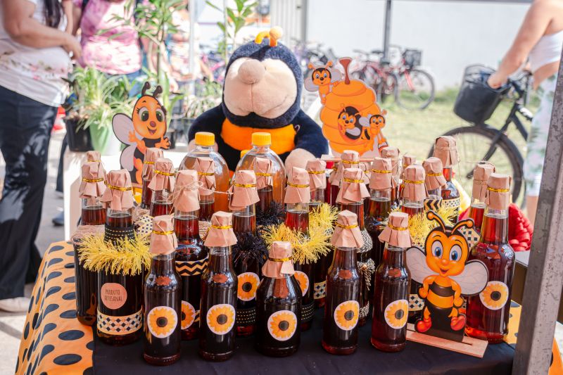  <div class='credito_fotos'>Foto: Karla Reis &nbsp;&nbsp;|&nbsp;&nbsp; <a href='/midias/2025/originais/8035_630b276c-5c74-14db-6115-1b4ec405b60d.jpg' download><i class='fa-solid fa-download'></i> Download</a></div>