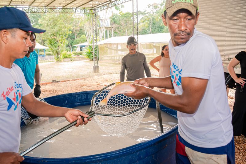  <div class='credito_fotos'>Foto: Karla Reis &nbsp;&nbsp;|&nbsp;&nbsp; <a href='/midias/2025/originais/8039_4e6b0f80-1805-662d-ba2c-d1386c388823.jpg' download><i class='fa-solid fa-download'></i> Download</a></div>