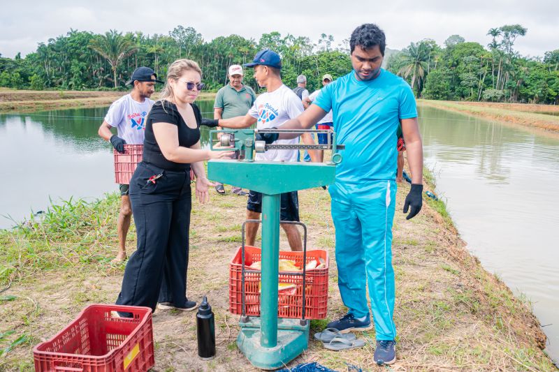  <div class='credito_fotos'>Foto: Karla Reis &nbsp;&nbsp;|&nbsp;&nbsp; <a href='/midias/2025/originais/8039_72bd3a7a-7645-2732-6890-dd3df7c67d5f.jpg' download><i class='fa-solid fa-download'></i> Download</a></div>