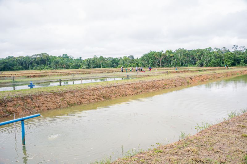  <div class='credito_fotos'>Foto: Karla Reis &nbsp;&nbsp;|&nbsp;&nbsp; <a href='/midias/2025/originais/8039_b17b6c83-ec10-7f0a-bc90-1e23db794a7b.jpg' download><i class='fa-solid fa-download'></i> Download</a></div>