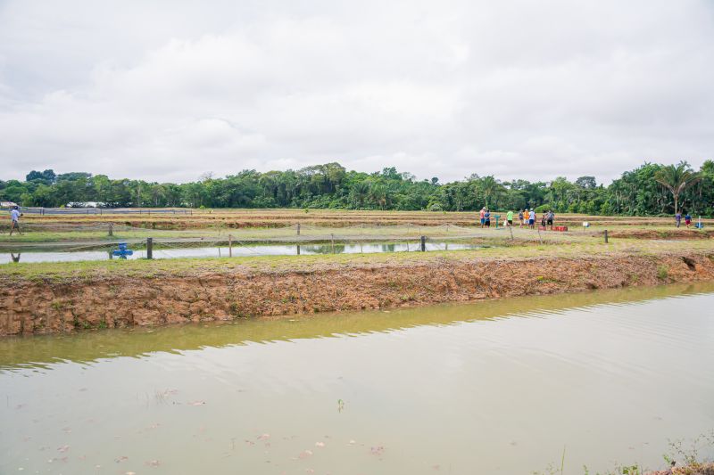  <div class='credito_fotos'>Foto: Karla Reis &nbsp;&nbsp;|&nbsp;&nbsp; <a href='/midias/2025/originais/8039_d65c29f9-bc84-62e4-57f5-755aceefc325.jpg' download><i class='fa-solid fa-download'></i> Download</a></div>